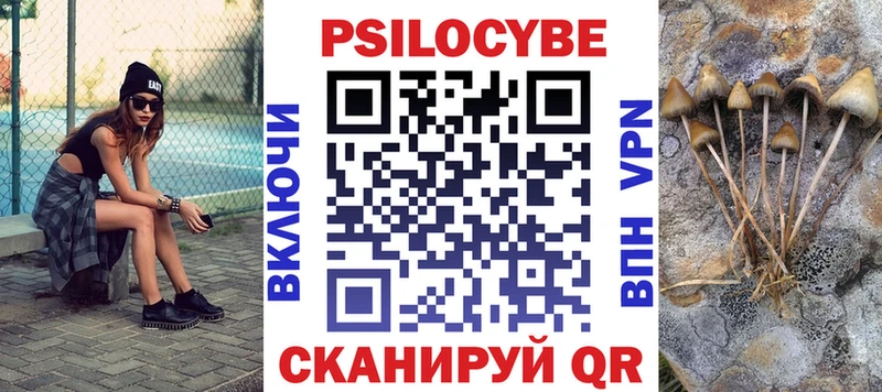кракен   Купино  Псилоцибиновые грибы мицелий 