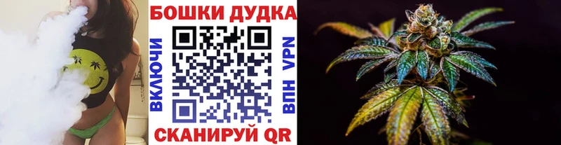 Каннабис планчик Купино