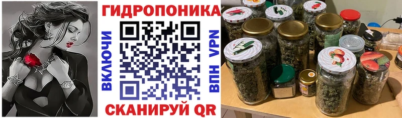 Бошки марихуана ГИДРОПОН  где можно купить   omg ссылки  Купино 